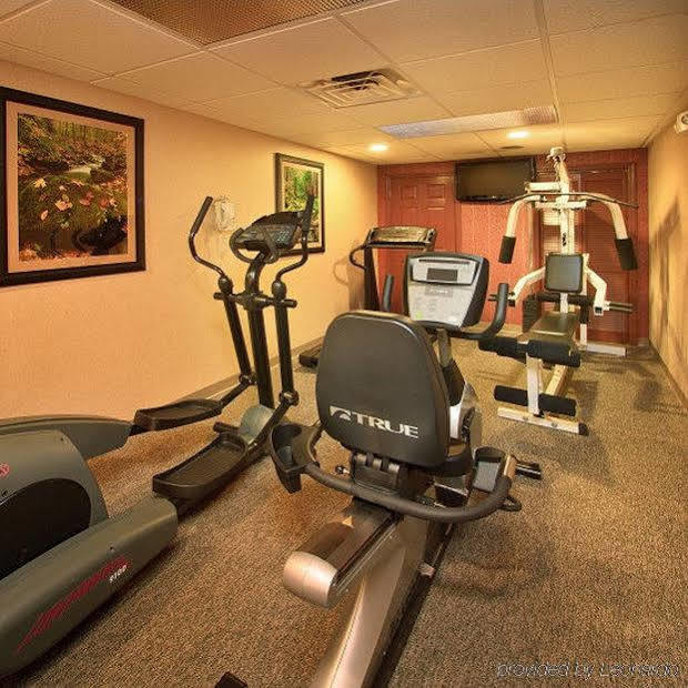 Bearskin Lodge On The River ガトリンバーグ 設備 写真